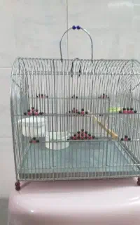 قفس پرنده قناری وسهره طوطی سانان