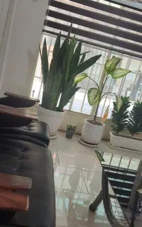 نماینده شرکت