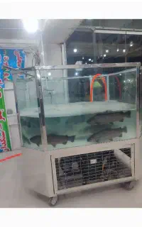 آکواریوم