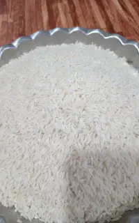 برنج هاشمی امساله