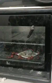 تستر بوش