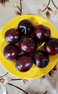 فروش آلو کالیفرنیا درجه‌ یک کیلویی