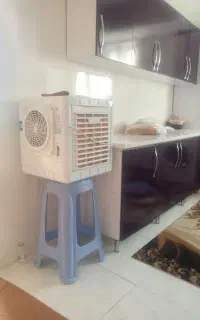 کولرابی