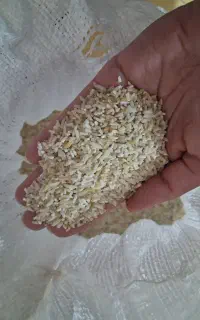 برنج نیم دانه هاشمی باران خورده