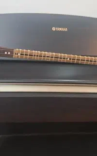 سه تار حرفه ای کاسه کوچک