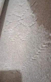 موکت