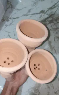 سری بدون لعاب