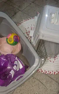 وسایل گربه باکس خاک ظرف