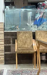اکواریوم