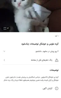 گربه خیلی کمیاب 20میلیون