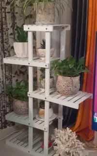 استند
