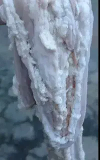 فروش بارساخ و همه چیز موجود