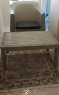 صندلی باغی