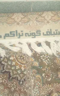 فرش ۸۵۰ شانه دستباف گونه 3×4 تراکم ۲۲۵۰