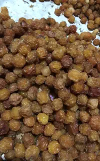 الوچه مراغه