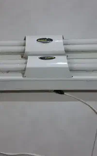 دو عدد مهتابی