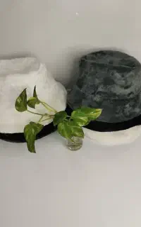 کلاه و گوشگیر تدی