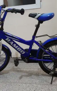 دوچرخه دست دو