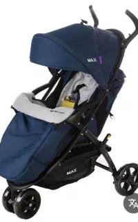 کالسکه تک مکس دلیجان