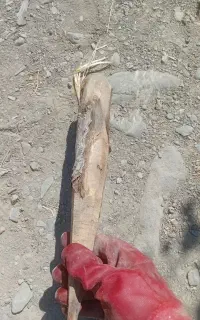 چوب علامت گذاری