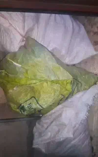 کود