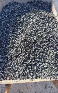 کربن پوست پسته