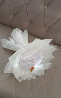 گل روبانی