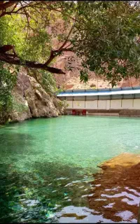 تور گردشگری