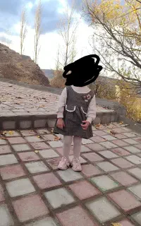 مجلسی