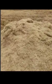 فروش کاه