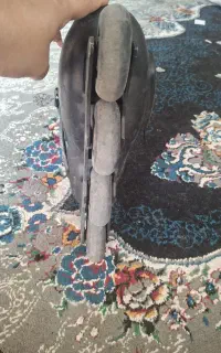 اسکیت