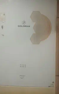 پکیج گلدیران مدل پایونیر
