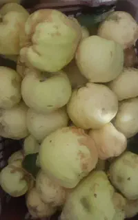 به برای مربا وترشی
