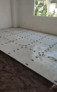 کاشی و سرامیک کار باسابقه