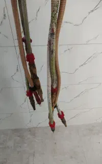 شیلنگ عمده قلیان