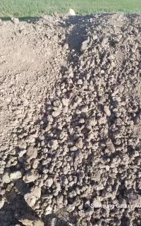 کود مرغی خشک خشک سالنی وقفسی
