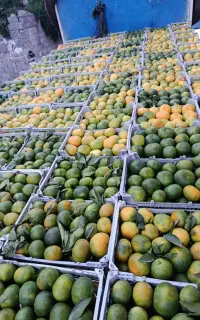انارونارنگی