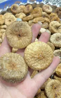 روغن زیتون،زیتون،انجیر،مرباانجیر،رب‌انارسیرترشی