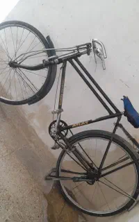 دوچرخ چینی سالم