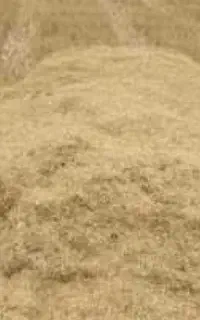 کاه گندم آبی