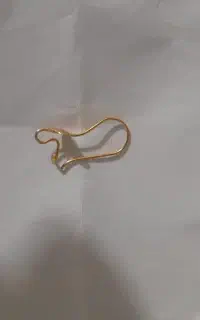 طلا گمشده