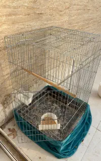 قفس پرنده