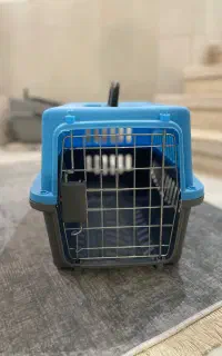 باکس گربه