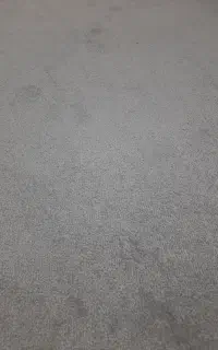 پالاز موکت