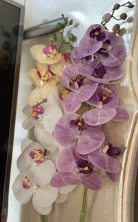 گل مصنوعی ارکیده