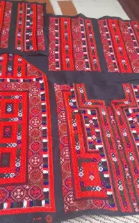 زی و آستین