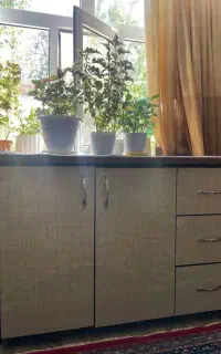 کابینت اشپزخونه