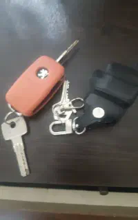 سویچ پژو گم کردم