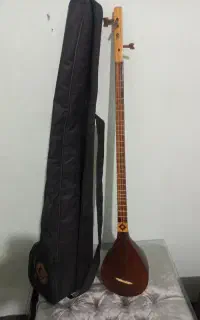 سه تار  یاور به همراه کیف و کاور
