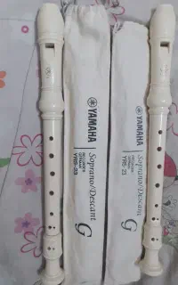 فلوت نو